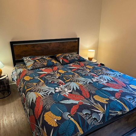 Residence Bois Du Bouchet, Appartement Vue Montagne, Calme, Parking Gratuit, Proche Centre Chamonix Exterior foto