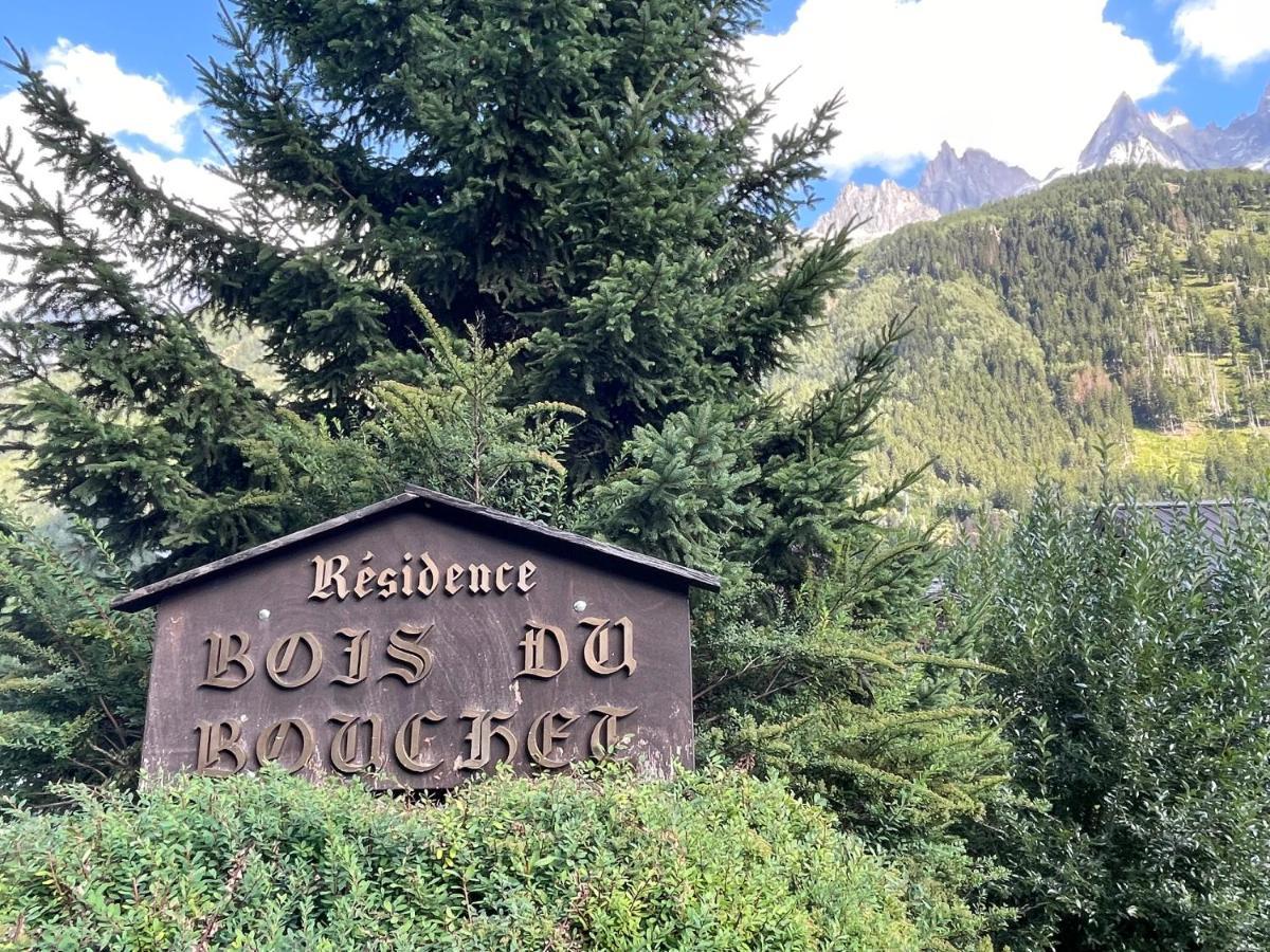 Residence Bois Du Bouchet, Appartement Vue Montagne, Calme, Parking Gratuit, Proche Centre Chamonix Exterior foto