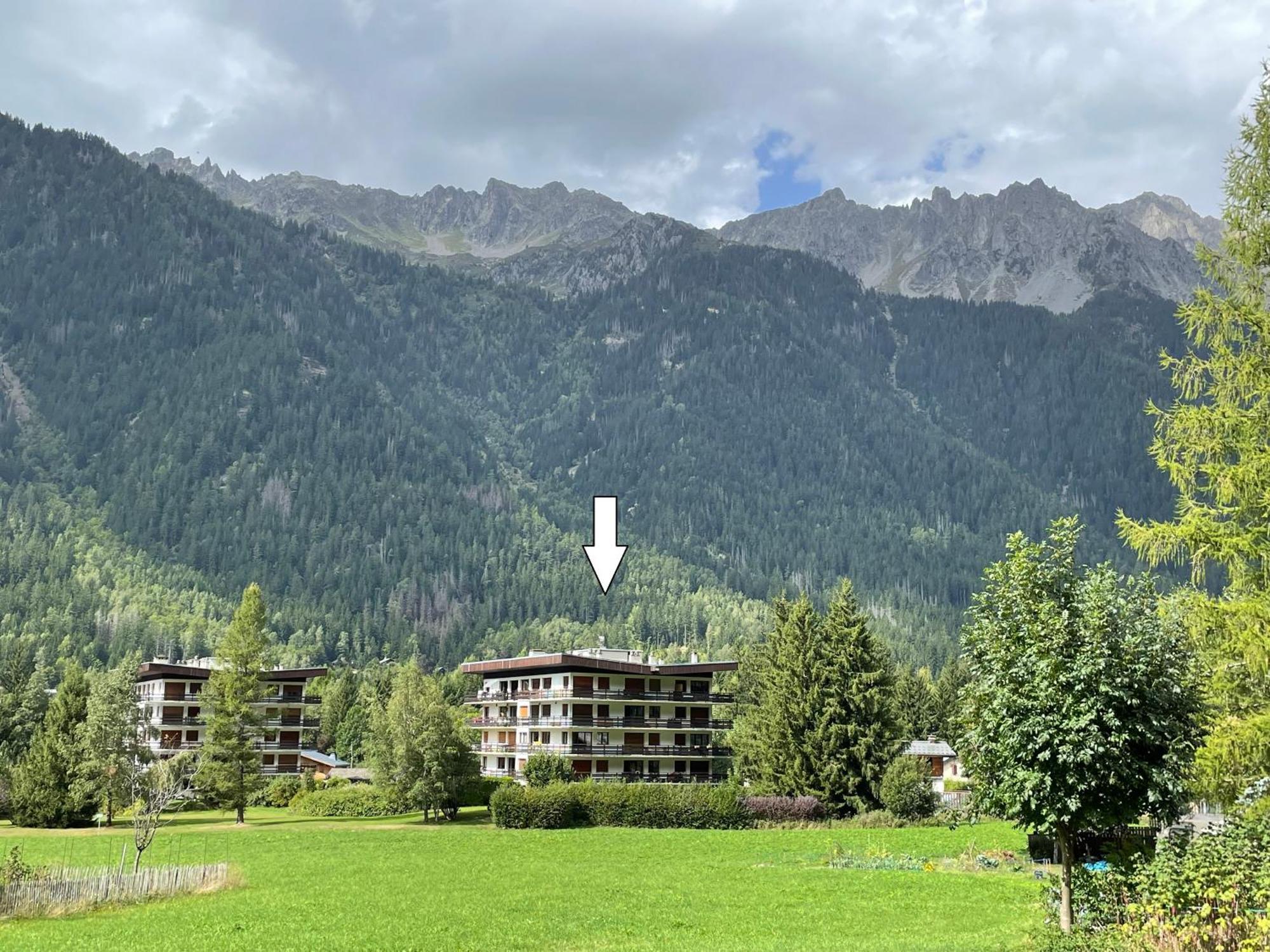 Residence Bois Du Bouchet, Appartement Vue Montagne, Calme, Parking Gratuit, Proche Centre Chamonix Exterior foto