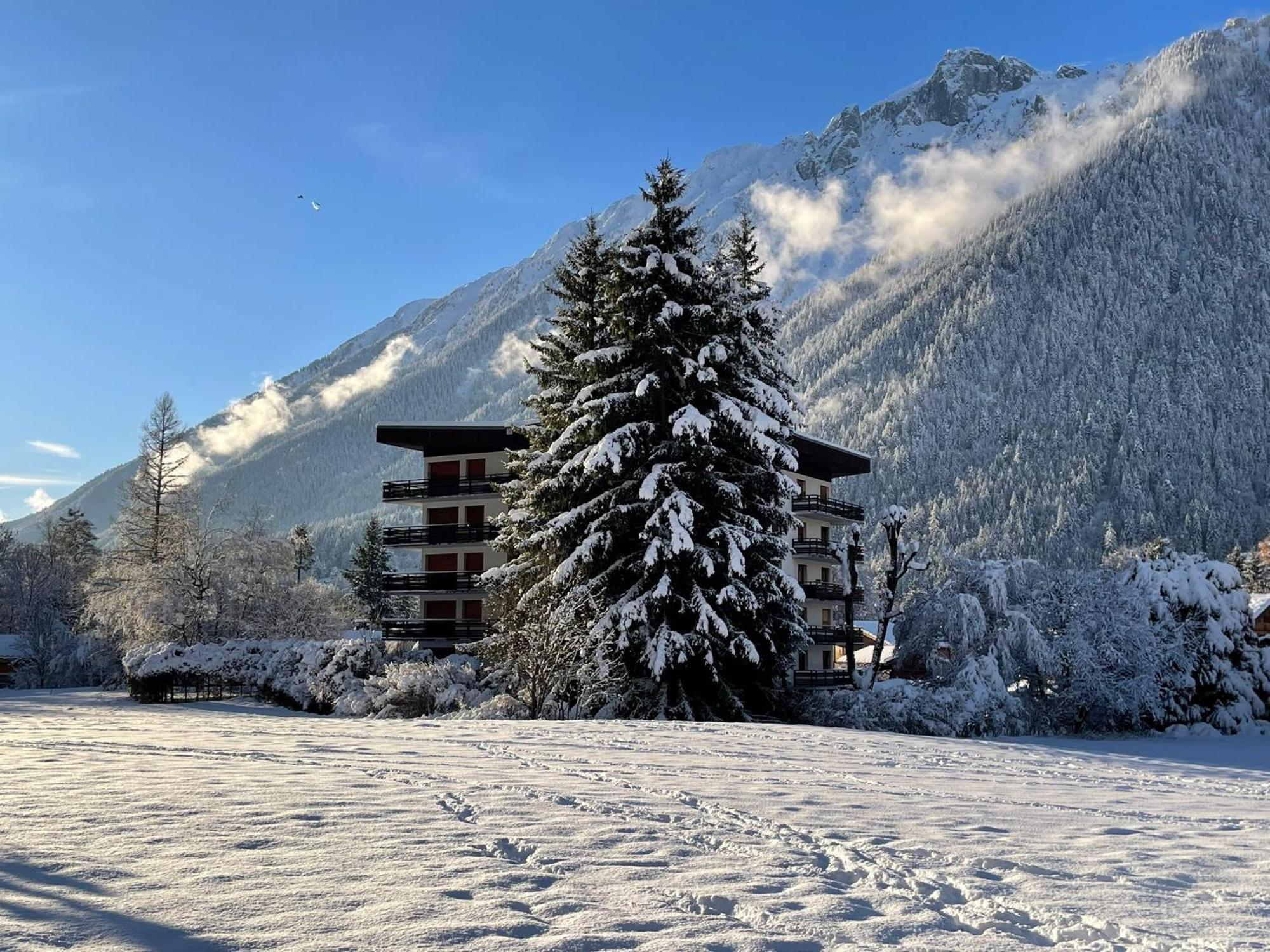 Residence Bois Du Bouchet, Appartement Vue Montagne, Calme, Parking Gratuit, Proche Centre Chamonix Exterior foto